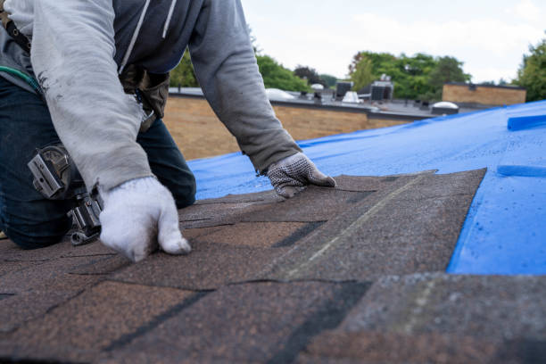 Best Commercial Roofing Services  in Ben Wheeler, TX