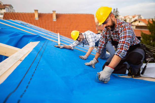 Best Roof Maintenance Services  in Ben Wheeler, TX