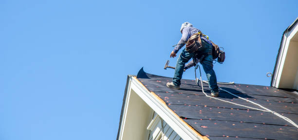 Best Roof Waterproofing Services  in Ben Wheeler, TX